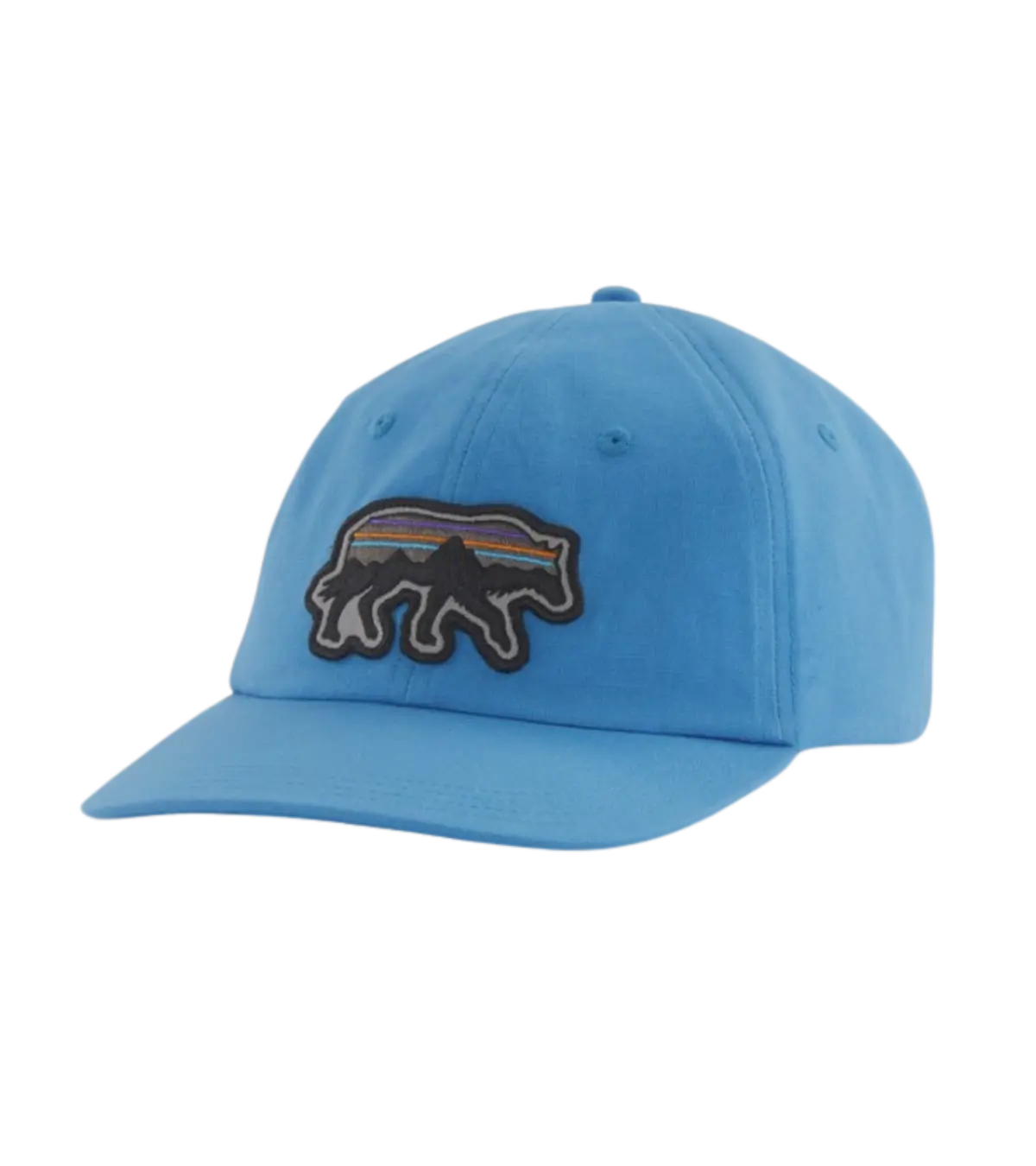 Light blue top patagonia hat