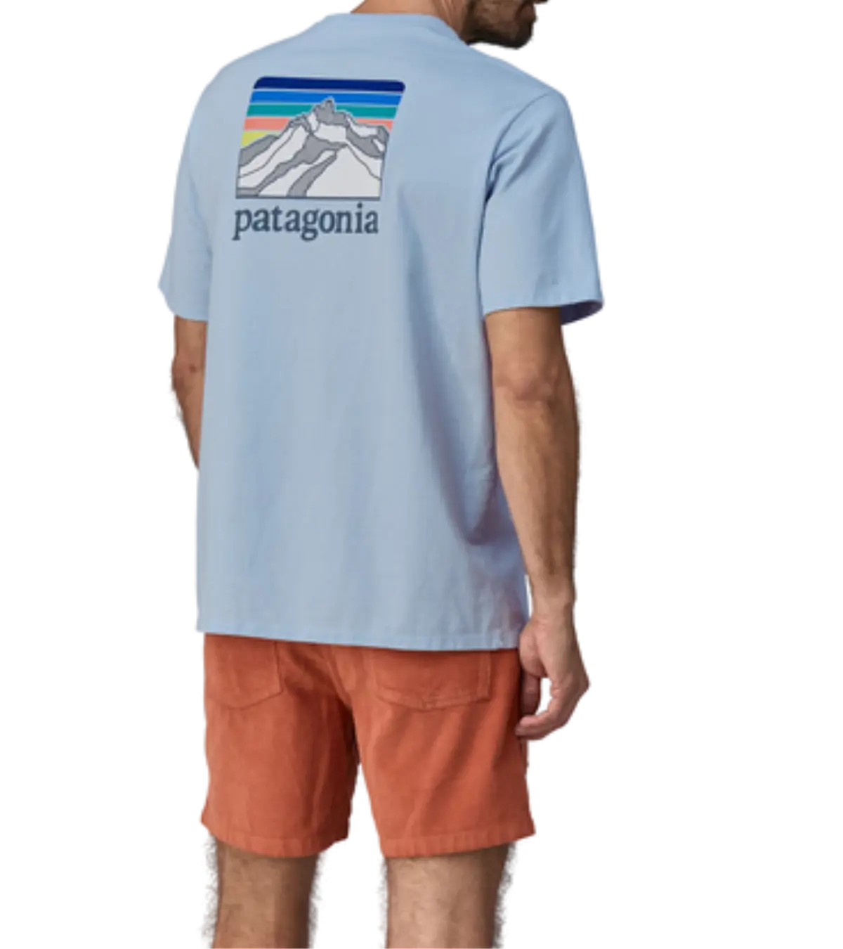 Patagonia, Men's Line Logo Responsibili-Tee blue