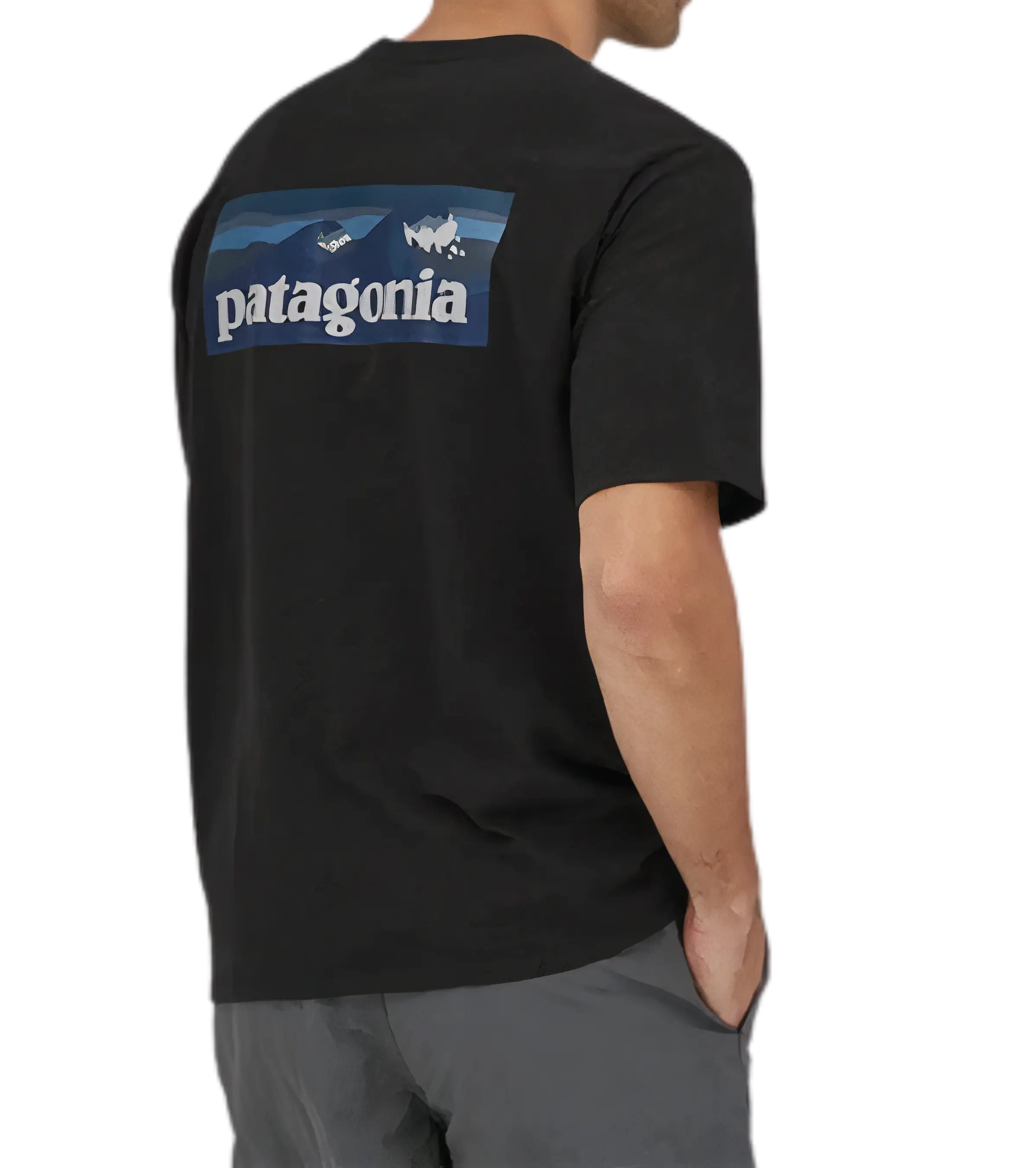 Patagonia blue t shirt 2025