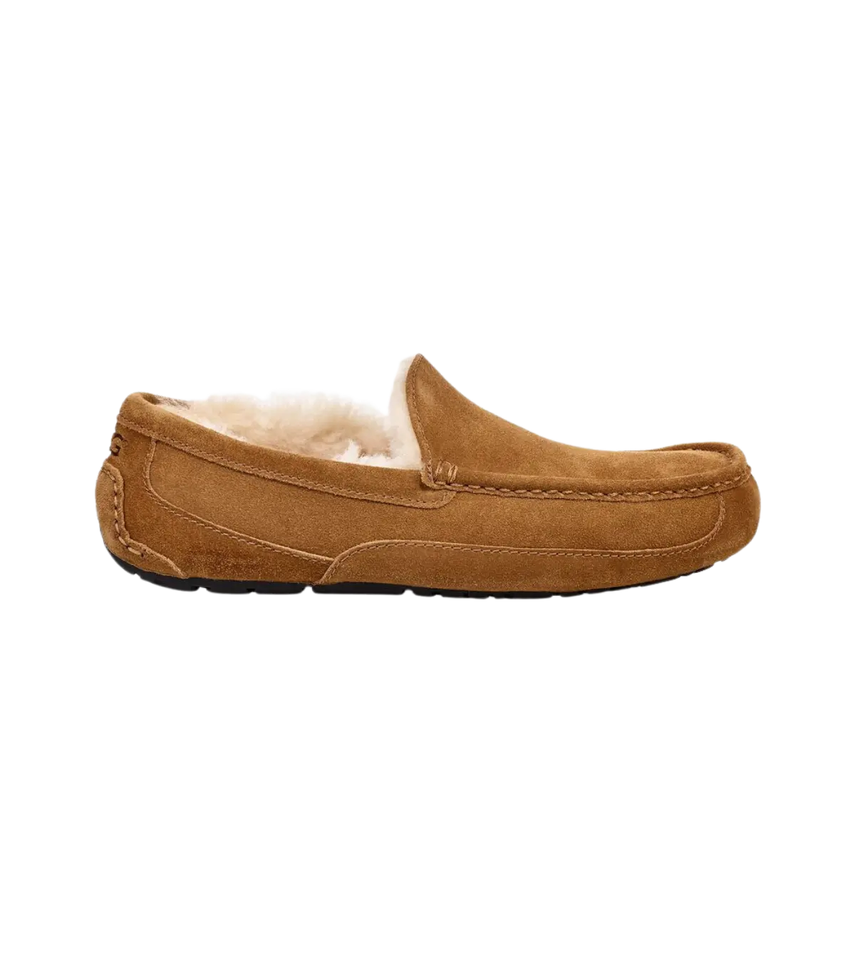 Ugg ascot slipper size 11 hotsell
