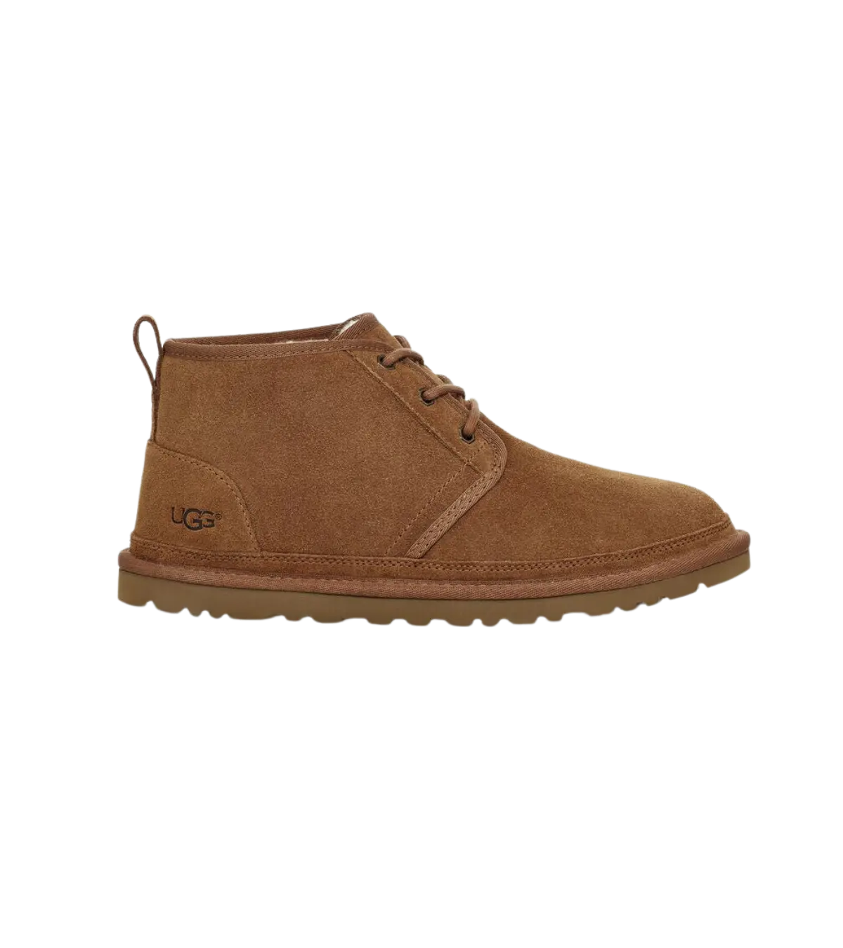 Mens 2025 ugg chukka