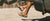 Men's Sanuk