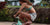 Women's Bottoms