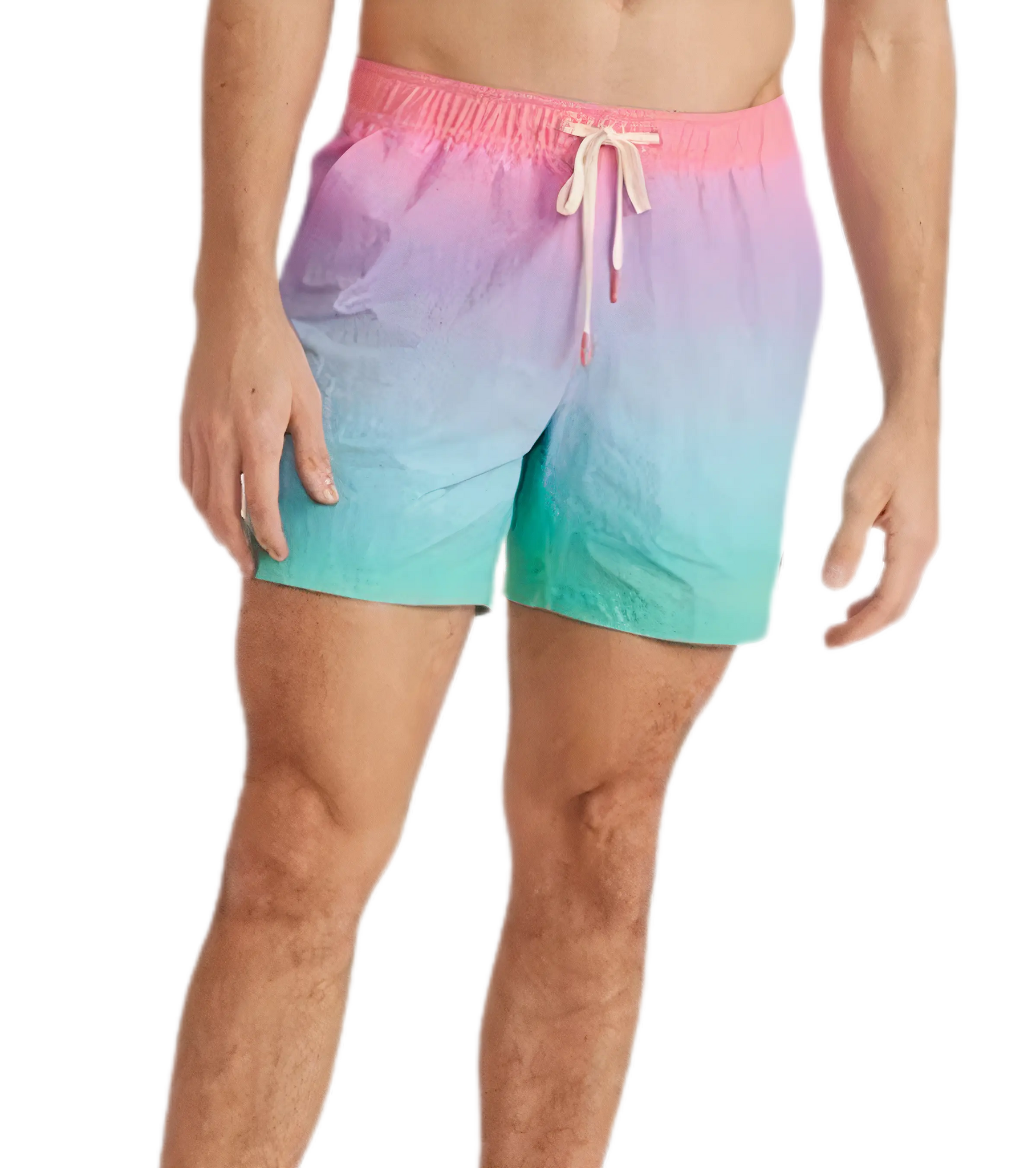 Marine layer 2025 swim trunks