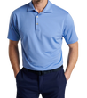 man wearing a peter millar Baltic Performance Jersey Polo