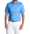 man wearing a peter millar Skull In One Performance Jersey Polo