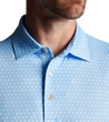man wearing Peter Millar, Men's Seeing Double Performance Jersey Polo (Cottage Blue