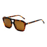 Sito, The Void Sunglasses (Tortoise)